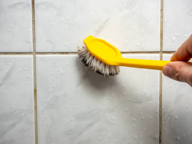 Best Office Mold Removal Services  in Kohler, WI
