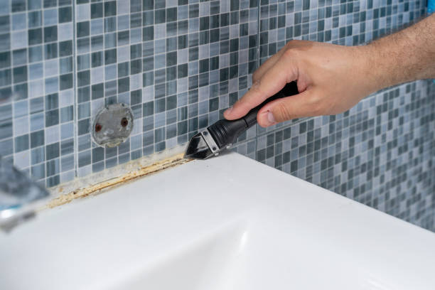 Best Professional Mold Removal  in Kohler, WI