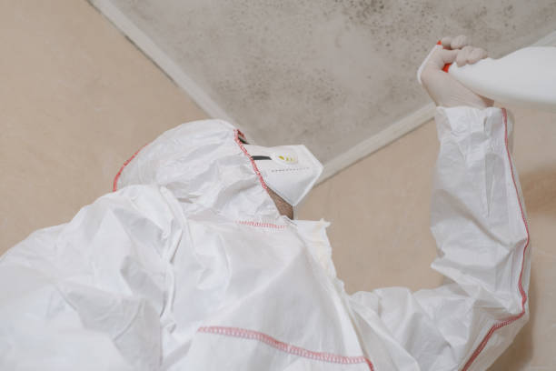 Best Crawl Space Mold Removal  in Kohler, WI