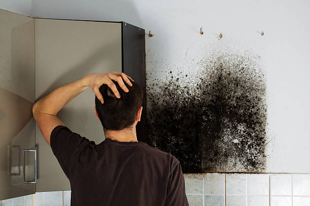 Best Mold Testing  in Kohler, WI
